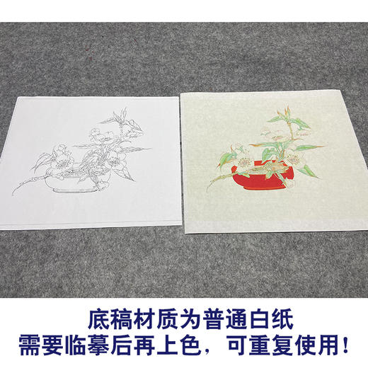 任重工笔画白描底稿《白云香一枝》临摹勾线高清打印稿YL10 商品图3