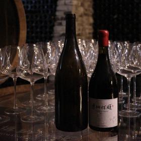 Magnum 1.5升｜博纳佰馥 2022年份｜存酒庄到2027年发货