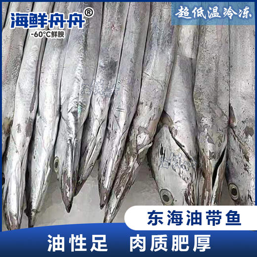 【野生】东海油带鱼 500-1000克/条 商品图0