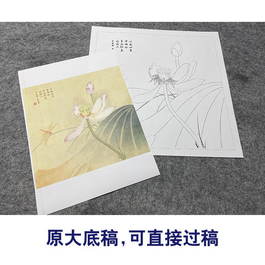 王后波工笔画白描底稿荷花蜻蜓《一瓣心香》临摹勾线高清打印稿YL21 商品图1