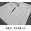 李长白工笔画白描底稿《昙花映月》临摹勾线高清打印稿YL11 商品缩略图2