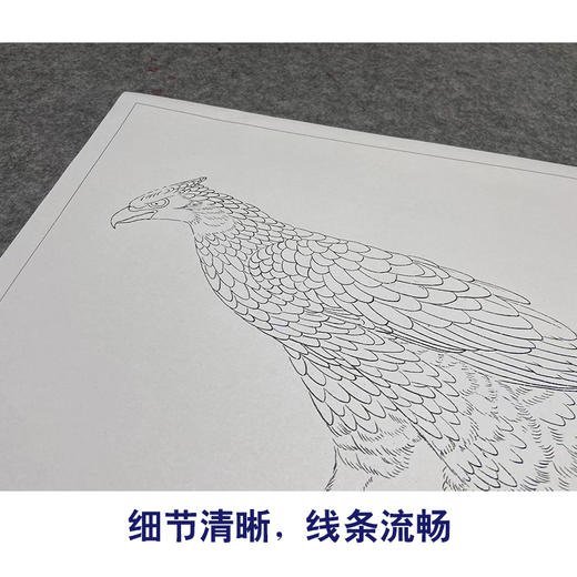 于非闇工笔画白描底稿《御鹰图》临摹勾线高清打印稿YL12 商品图4