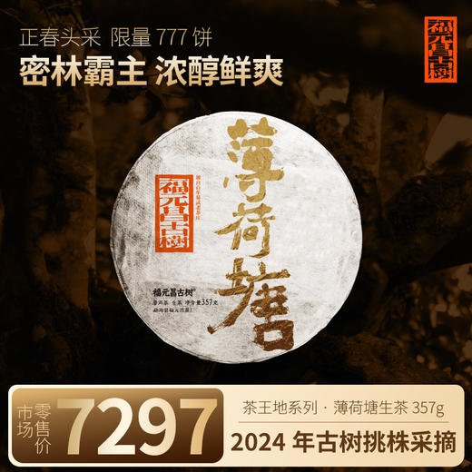 【福元昌古树】2024年茶王地系列-薄荷塘古树纯料357g生饼 商品图0