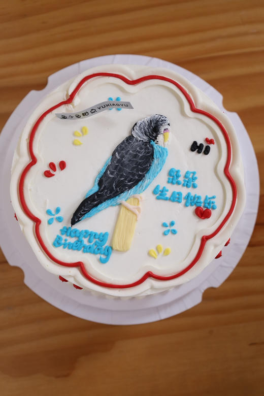 手绘鹦鹉 商品图0