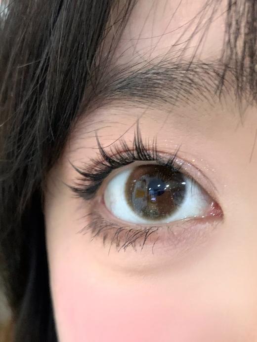 Flowercolor平价半年抛-琥珀黑金 商品图5