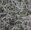 茶园银针头采（2025新茶） 商品缩略图0