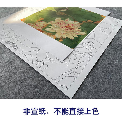 吕大卫工笔画白描底稿《荷花图》临摹勾线高清打印稿YL19 商品图2