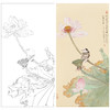 任重工笔画白描底稿荷花《浮香华池图》临摹勾线高清打印稿YL16 商品缩略图0