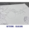 吕大卫工笔画白描底稿桃子荷花《蔬果》临摹勾线高清打印稿YL24 商品缩略图4