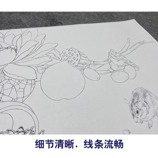 吕大卫工笔画白描底稿桃子荷花《蔬果》临摹勾线高清打印稿YL24 商品图4