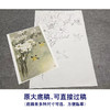 周中耀工笔画白描底稿玉兰花《高洁图》临摹勾线高清打印稿YL17 商品缩略图1