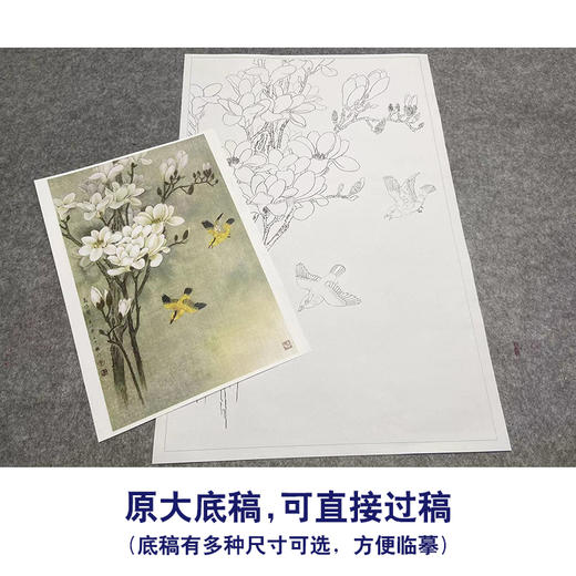 周中耀工笔画白描底稿玉兰花《高洁图》临摹勾线高清打印稿YL17 商品图1