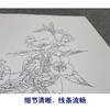 任重工笔画白描底稿《白云香一枝》临摹勾线高清打印稿YL10 商品缩略图4