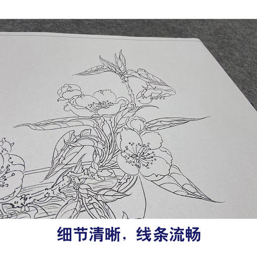 任重工笔画白描底稿《白云香一枝》临摹勾线高清打印稿YL10 商品图4