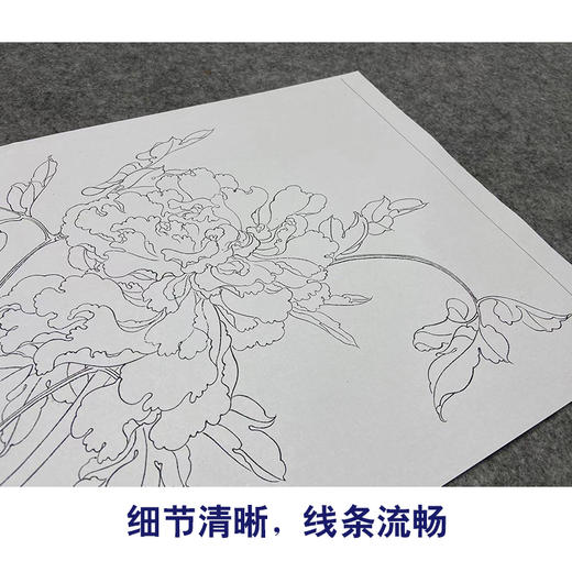任重工笔画白描底稿《佛头青》临摹勾线高清打印稿YL08 商品图4