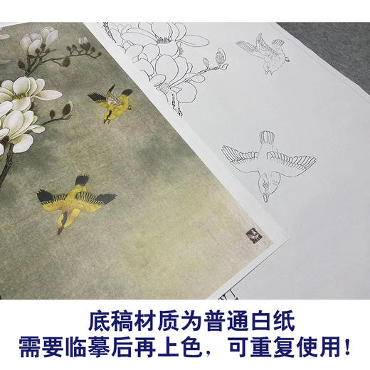 周中耀工笔画白描底稿玉兰花《高洁图》临摹勾线高清打印稿YL17 商品图3