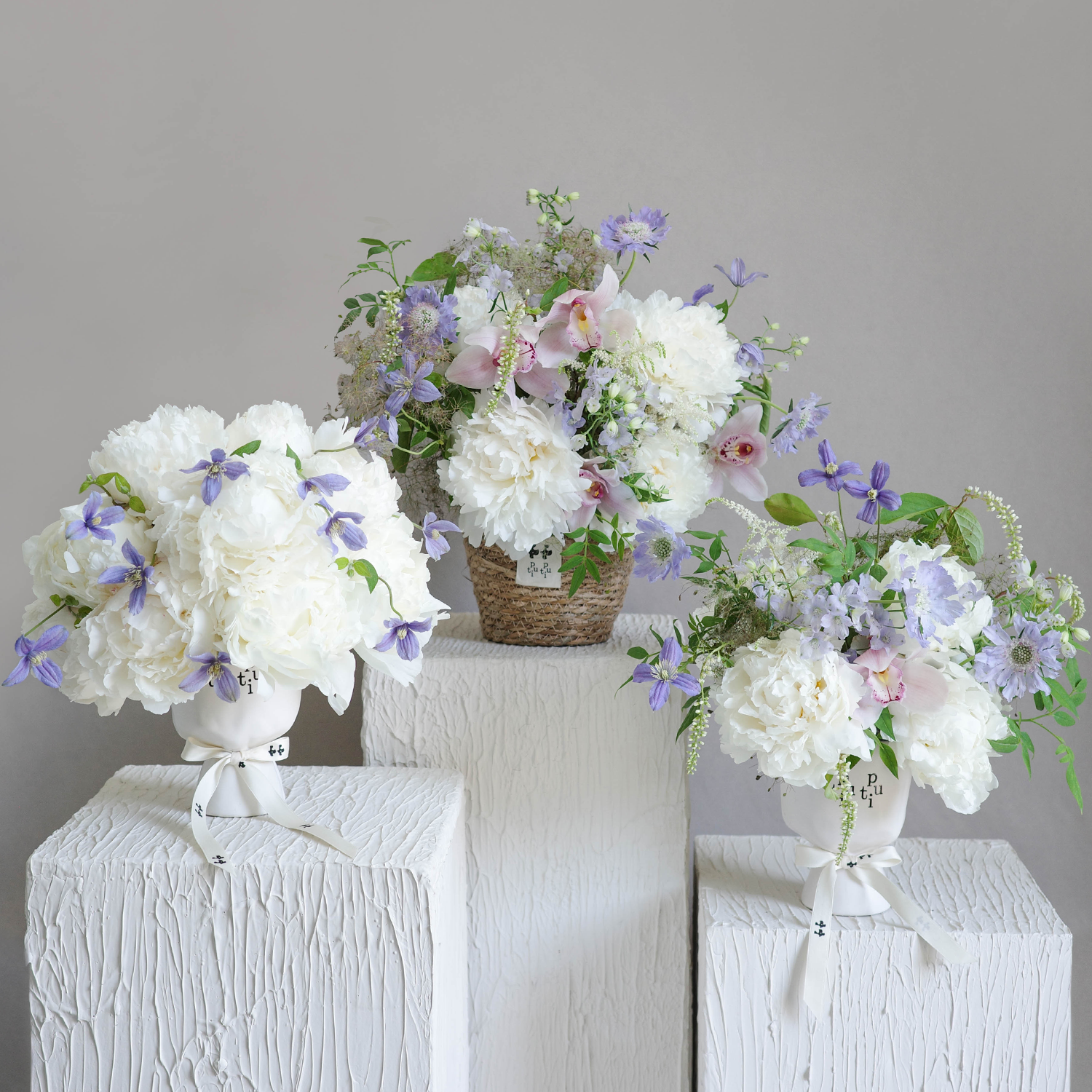 「Peony Season」月光童话系列 Moonlight Fairy Tales