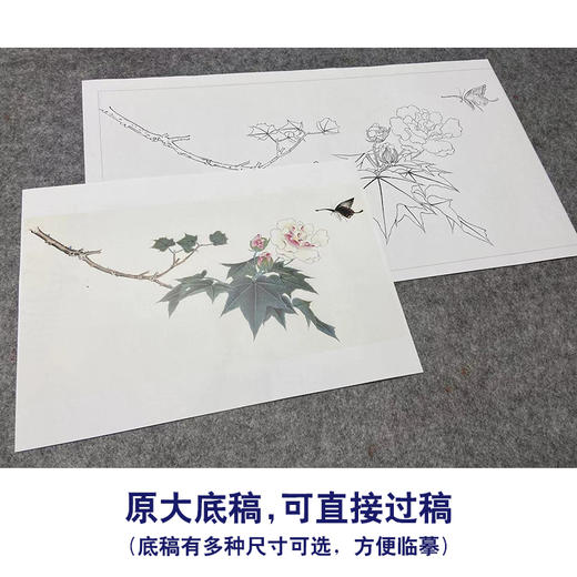 俞致贞工笔画白描底稿《芙蓉凤蝶》临摹勾线高清打印稿YL05 商品图1