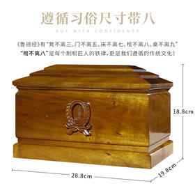 小叶桢楠  纪念堂 小号