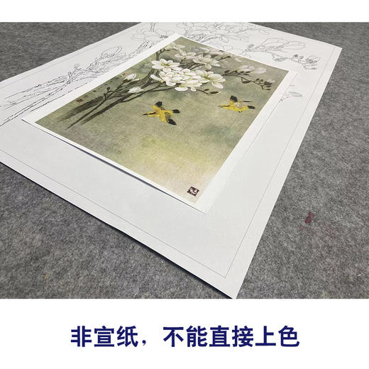 周中耀工笔画白描底稿玉兰花《高洁图》临摹勾线高清打印稿YL17 商品图2