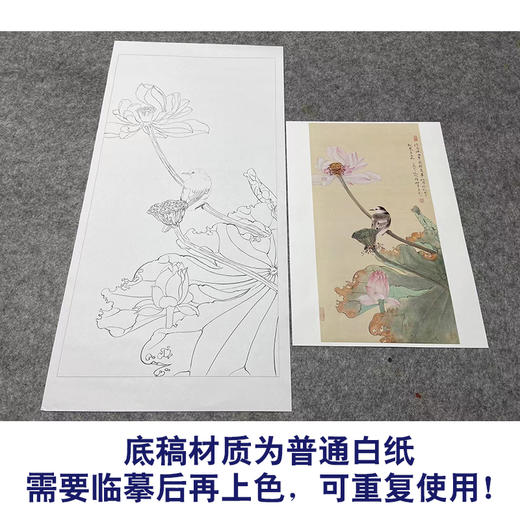 任重工笔画白描底稿荷花《浮香华池图》临摹勾线高清打印稿YL16 商品图3