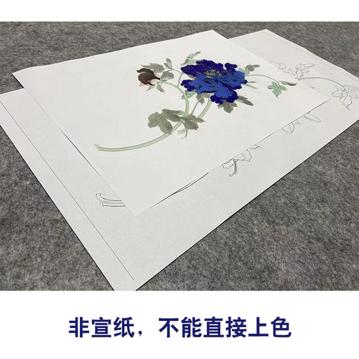 任重工笔画白描底稿《佛头青》临摹勾线高清打印稿YL08 商品图2