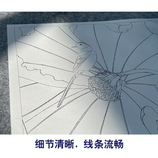吕大卫工笔画白描底稿《荷花图》临摹勾线高清打印稿YL19 商品图4