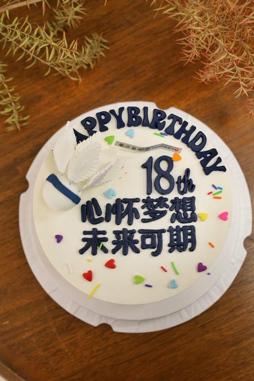 羽毛球—未来可期 商品图3