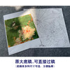吕大卫工笔画白描底稿《荷花图》临摹勾线高清打印稿YL19 商品缩略图1
