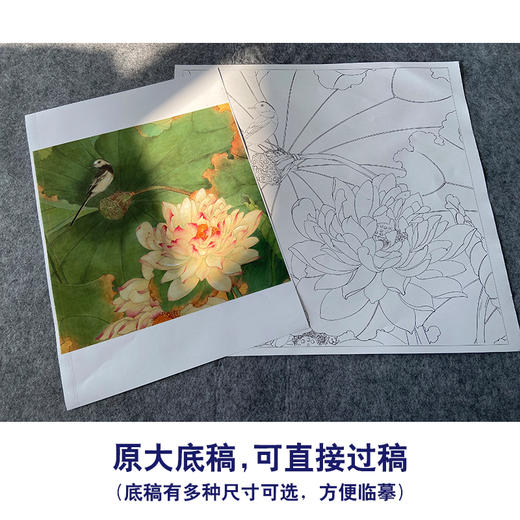 吕大卫工笔画白描底稿《荷花图》临摹勾线高清打印稿YL19 商品图1