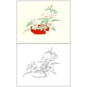 任重工笔画白描底稿《白云香一枝》临摹勾线高清打印稿YL10