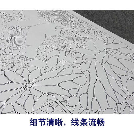 俞致贞工笔画白描底稿福娃荷花《连年有余》临摹勾线高清打印稿YL22 商品图4