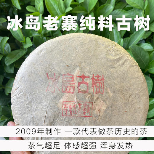 镇店之宝-代表做茶历史-2009年冰岛老寨古树 昆明干仓存放 商品图0