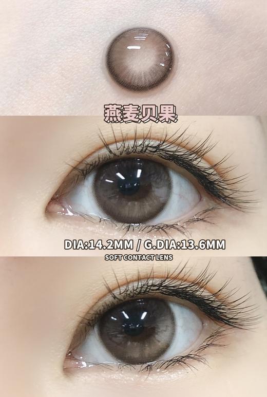 【半年抛】燕麦贝果 Allecon  | 中直径14.2，着色13.6 | 【同品牌多副美瞳更划算，选款色板在详情页内】灰棕色美瞳 商品图10
