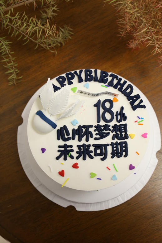 羽毛球—未来可期 商品图2