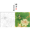 吕大卫工笔画白描底稿《荷花图》临摹勾线高清打印稿YL19 商品缩略图0