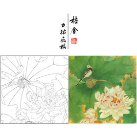 吕大卫工笔画白描底稿《荷花图》临摹勾线高清打印稿YL19