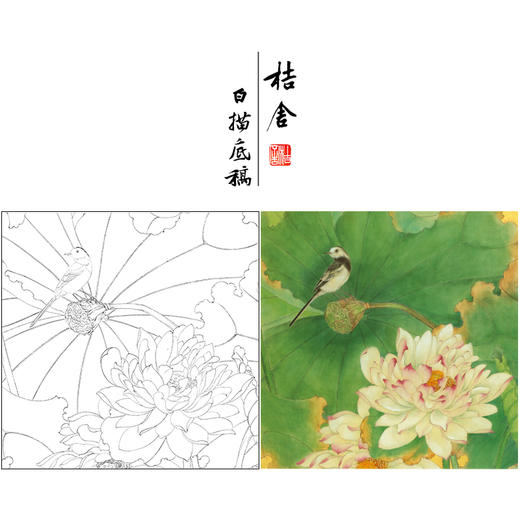 吕大卫工笔画白描底稿《荷花图》临摹勾线高清打印稿YL19 商品图0