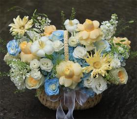 奶油杯绣球混搭手提花篮--送妈妈送爱人送朋友生日乔迁开业花礼