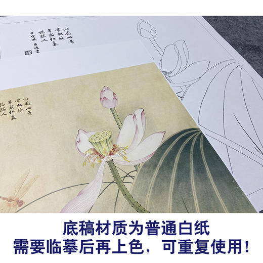 王后波工笔画白描底稿荷花蜻蜓《一瓣心香》临摹勾线高清打印稿YL21 商品图3