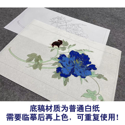 任重工笔画白描底稿《佛头青》临摹勾线高清打印稿YL08 商品图3