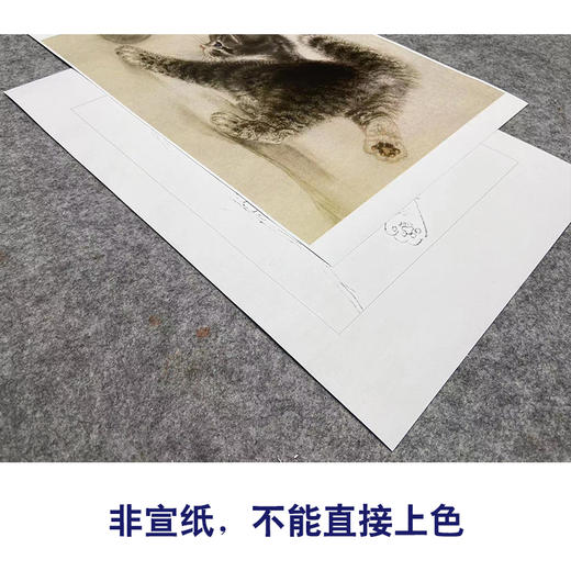 米春茂工笔画白描底稿《猫》临摹勾线高清打印稿YL14 商品图2