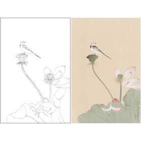 任重工笔画白描底稿荷花《秋荷鹡鸰》临摹勾线高清打印稿YL25