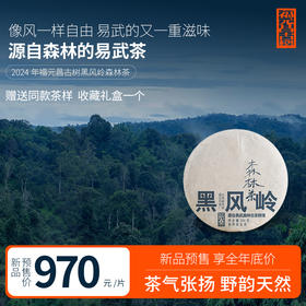 【福元昌古树】2024年森林茶·黑风岭古树纯料200克生饼