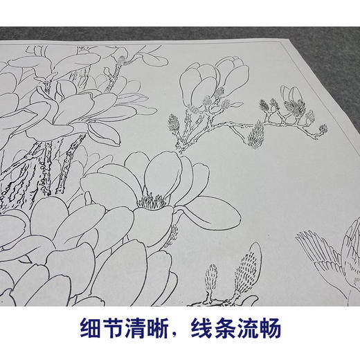 周中耀工笔画白描底稿玉兰花《高洁图》临摹勾线高清打印稿YL17 商品图4