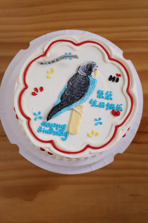 手绘鹦鹉 商品图1