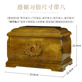 小叶桢楠  回归自然