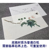 俞致贞工笔画白描底稿《芙蓉凤蝶》临摹勾线高清打印稿YL05 商品缩略图3