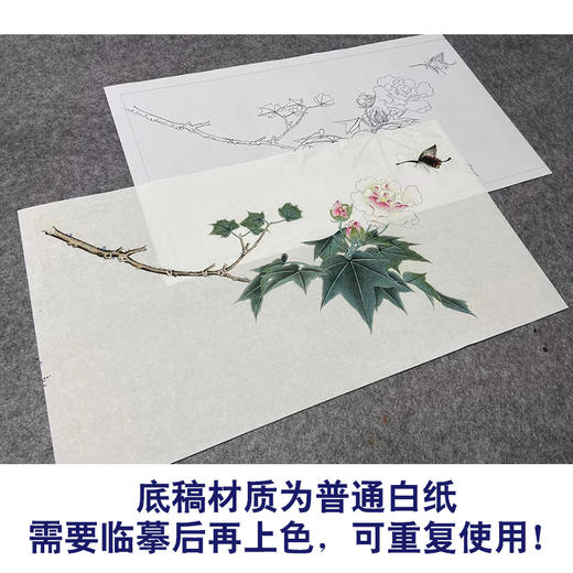 俞致贞工笔画白描底稿《芙蓉凤蝶》临摹勾线高清打印稿YL05 商品图3