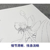 王后波工笔画白描底稿荷花蜻蜓《一瓣心香》临摹勾线高清打印稿YL21 商品缩略图4